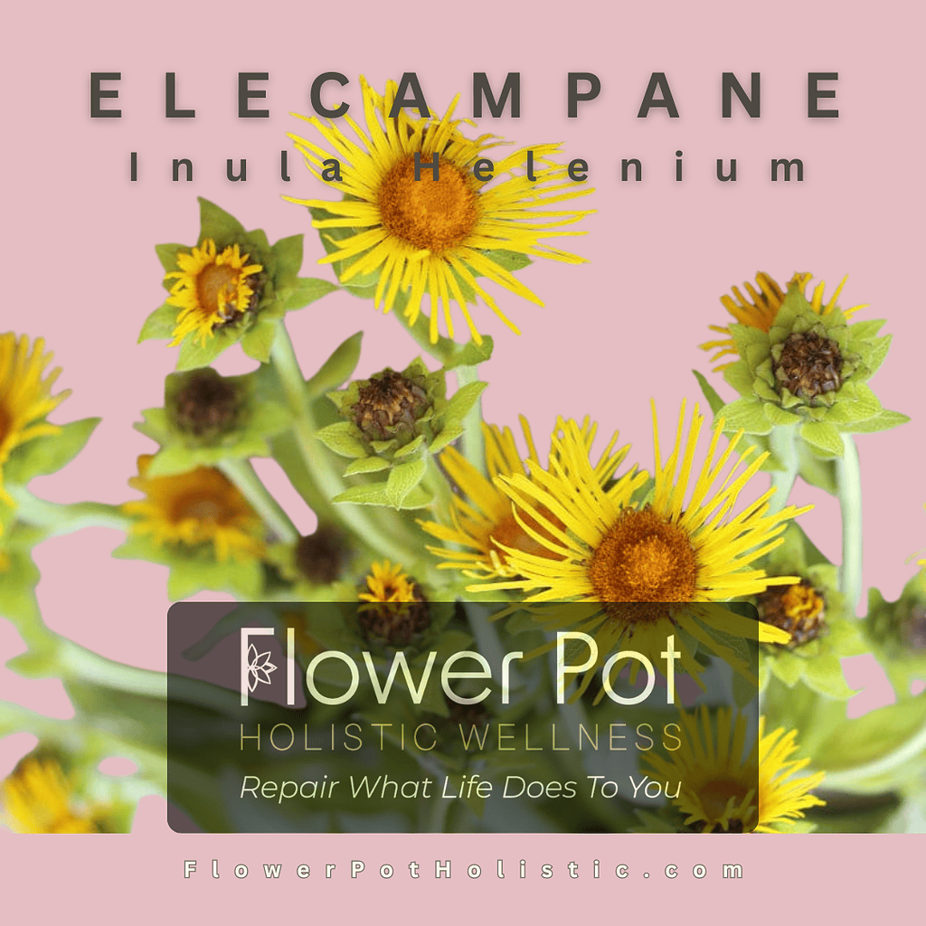 Bright yellow Helium flowers with green foliage, ideal for floral arrangements that promote wellness, tranquility, and natural beauty. Perfect for home decor, meditation spaces, or gifts.