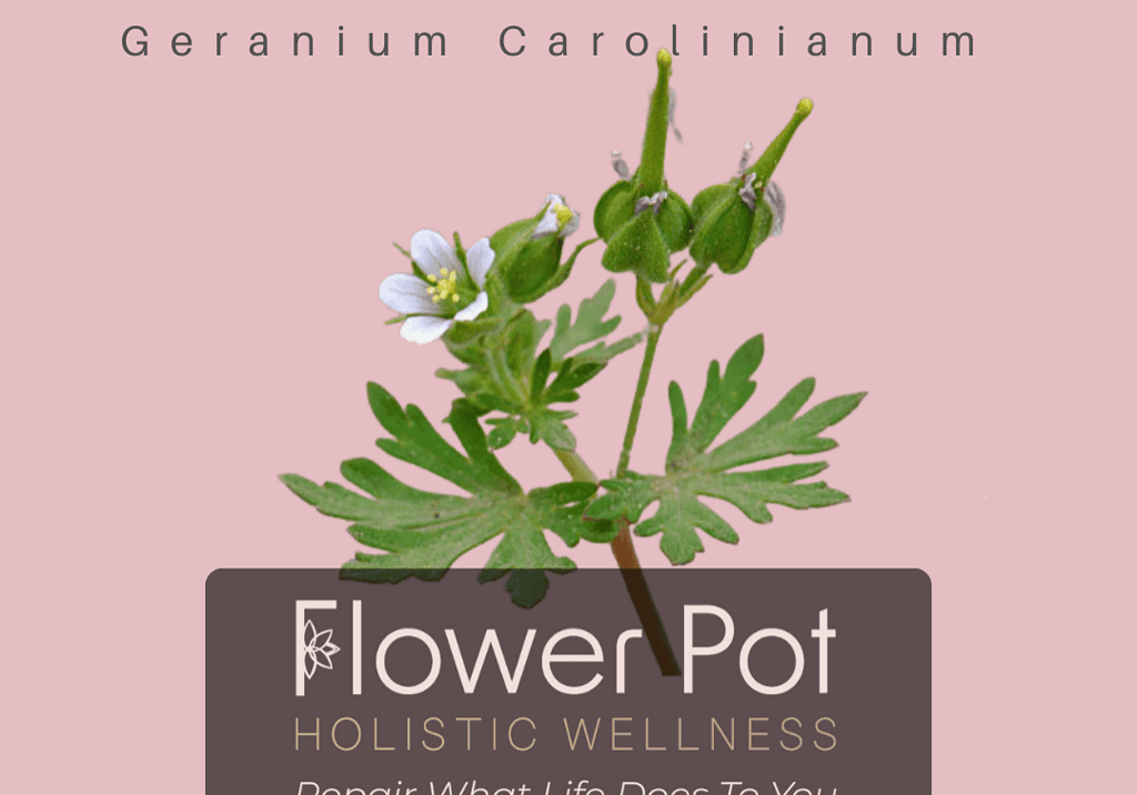 Copy of FB Herb Template (2)
