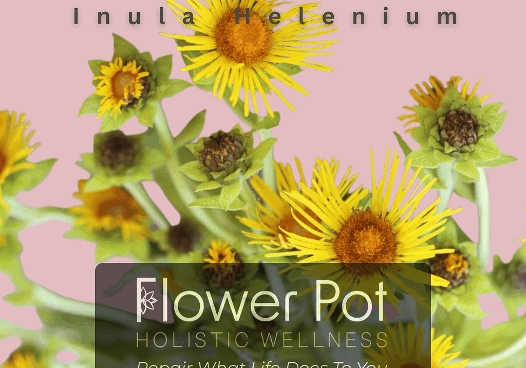 Bright yellow Helium flowers with green foliage, ideal for floral arrangements that promote wellness, tranquility, and natural beauty. Perfect for home decor, meditation spaces, or gifts.